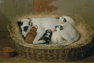 Bitch with Her Puppies in a Wicker Basket